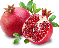 Pomegranate Concentrate